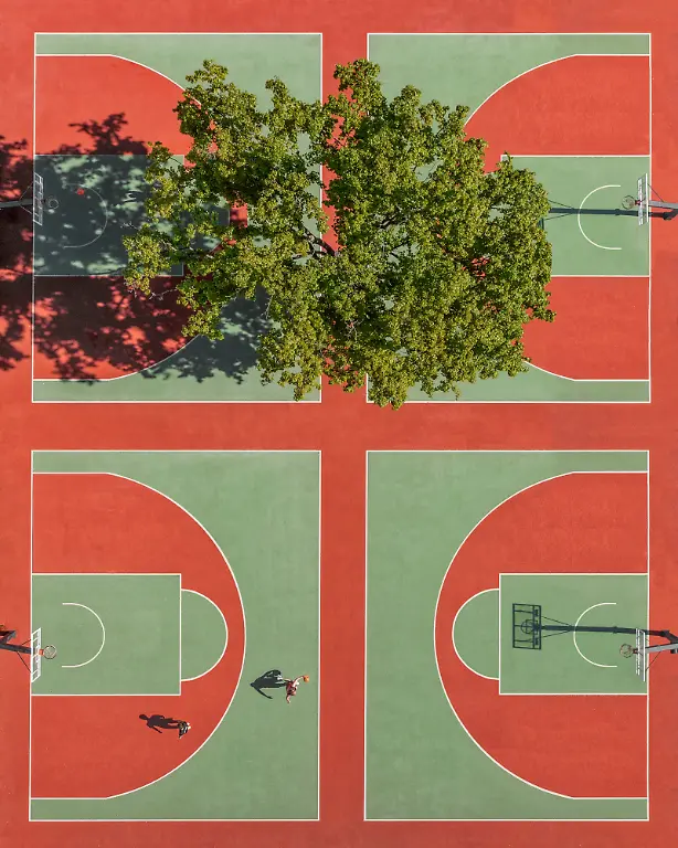67293_Kateryna_Polishchuk_Shadow Basketball Ii